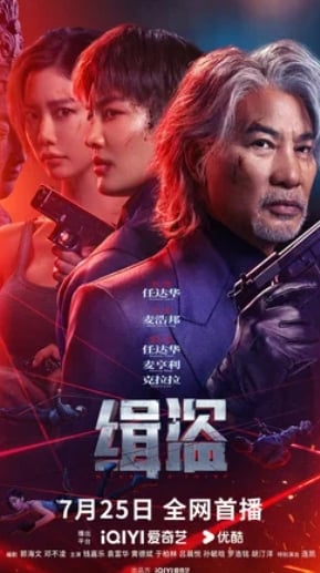 Поймать воров (2025)